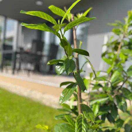 Silver Side Apartman