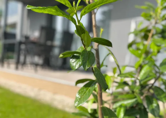 Silver Side Lägenhet